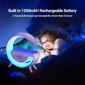 Rechargeable Battery and Long Life Battery